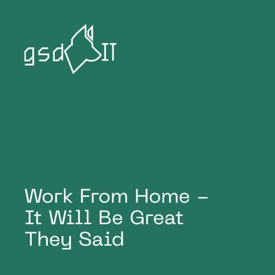 GSDIT work from home